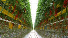 万里齐心共赴簇新